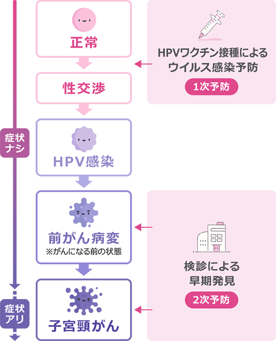 表：正常→性交渉→HPV感染→前がん病変（※がんになる前の状態）→子宮頸がん | 正常→性交渉にいく前の段階で、HPVワクチン接種によるウイルス感染予防（1次予防）が重要 | 前がん病変（がんになる前の状態）・子宮頸がん（がんの初期）の段階で検診による早期発見（2次予防）が重要