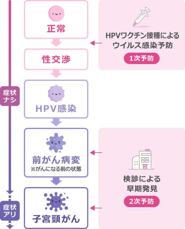 表：正常→性交渉→HPV感染→前がん病変（※がんになる前の状態）→子宮頸がん | 正常→性交渉にいく前の段階で、HPVワクチン接種によるウイルス感染予防（1次予防）が重要 | 前がん病変（がんになる前の状態）・子宮頸がん（がんの初期）の段階で検診による早期発見（2次予防）が重要