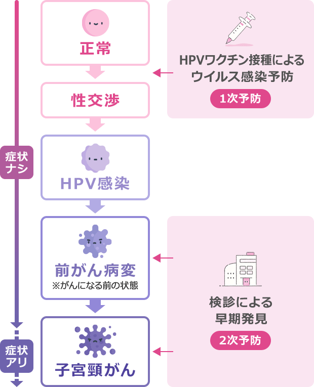 表：正常→性交渉→HPV感染→前がん病変（※がんになる前の状態）→子宮頸がん | 正常→性交渉にいく前の段階で、HPVワクチン接種によるウイルス感染予防（1次予防）が重要 | 前がん病変（がんになる前の状態）・子宮頸がん（がんの初期）の段階で検診による早期発見（2次予防）が重要
