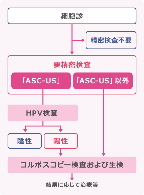 表：細胞診（「要精密検査」と「精密検査不要」）→要精密検査の場合：「ASC-US」と「ASC-US以外」→「ASC-US」の場合：HPV検査（「陰性」と「陽性」）→陽性の場合：コルポスコピー検査および生検→結果に応じて治療等