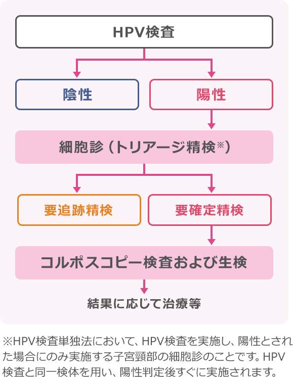 表:HPV検査(「陰性」と「陽性」)→陽性の場合:細胞診(トリアージ精検)(「要追跡精検」と「要確定精検」)→「要確定精検」の場合:コルポスコピー検査および生検→結果に応じて治療等