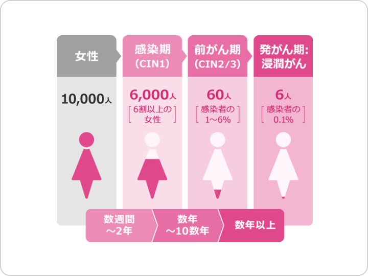 子宮頸がんの症状 | どうやって発症・進行するの？