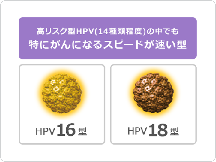 子宮頸がんの原因 | ウイルスには種類があるの？