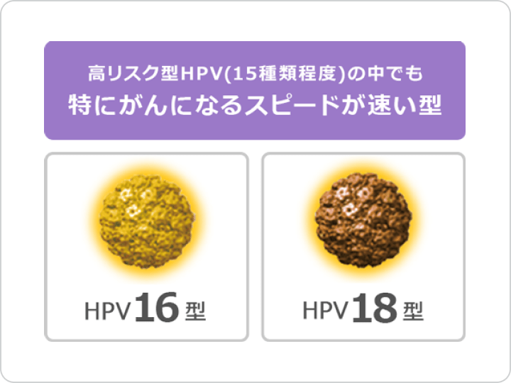 子宮頸がんの原因 | ウイルスには種類があるの？