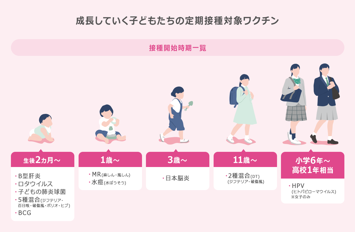 成長していく子どもたちの定期接種対象ワクチン｜接種開始時期一覧｜生後2か月～：B型肝炎、ロタウイルス、子どもの肺炎球菌、5種混合（ジフテリア・百日咳・破傷風・ポリオ・ヒブ）、BCG｜1歳～：MR（麻しん・風しん）、水痘（水ぼうそう）｜3歳～：日本脳炎｜11歳～：2種混合（DT）（ジフテリア・破傷風）｜小学6年～高校1年相当：HPV（ヒトパピローマウイルス）※女子のみ
