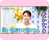 vol.2  子宮頸部高度異形成を経験した井口さん、「えっ、がんの一歩手前？」 